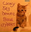 Влад Зоткин фотография #9 (источник - https://vk.com/id156297845)