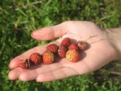 Фотография Стрельчонка Дмитрия