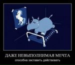 Евгений Иванов фотография #6 (источник - https://vk.com/id780190)