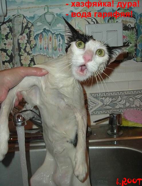 Виктор Быков фотография #12