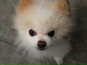 Фотография Кротова Дмитрия