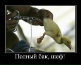 Антон Лірник фотография #44 (источник - https://vk.com/id162960128)