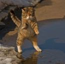 Фотография Романовой Вероники