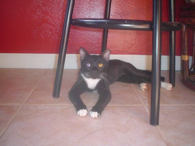 Igor Tarasov фото №47