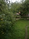 Міша Бігняк фотография #47 (источник - https://vk.com/id168931353)