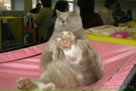 Анна Петрова фотография #12 (источник - https://vk.com/id45188780)