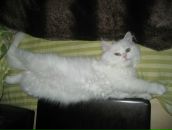 Фотография Бишаровой Натальи