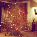 Фотография Grey Davis