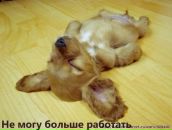 Фотография Апанасовой Елены