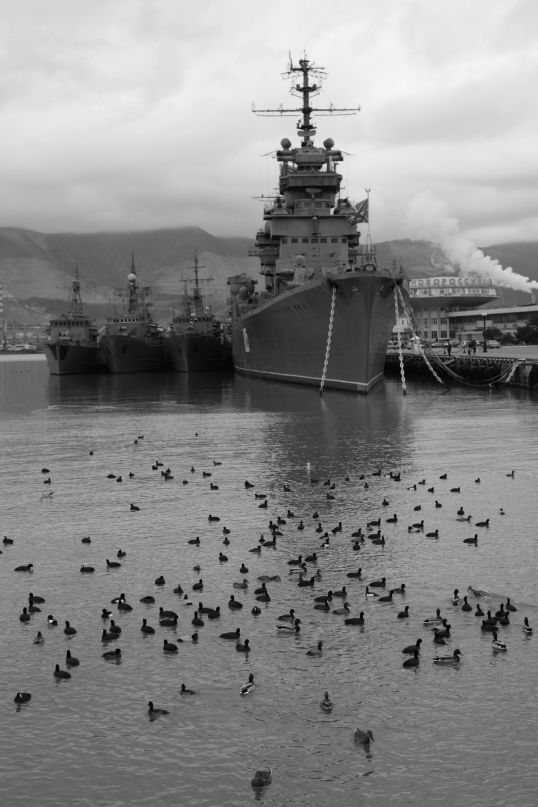 Артём Грачев фотография #43