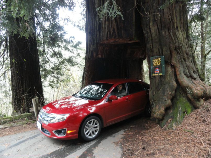 Игорь Макаров фотография #6