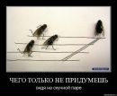 Ольга Гаєвська фотография #23 (источник - https://vk.com/id41378390)