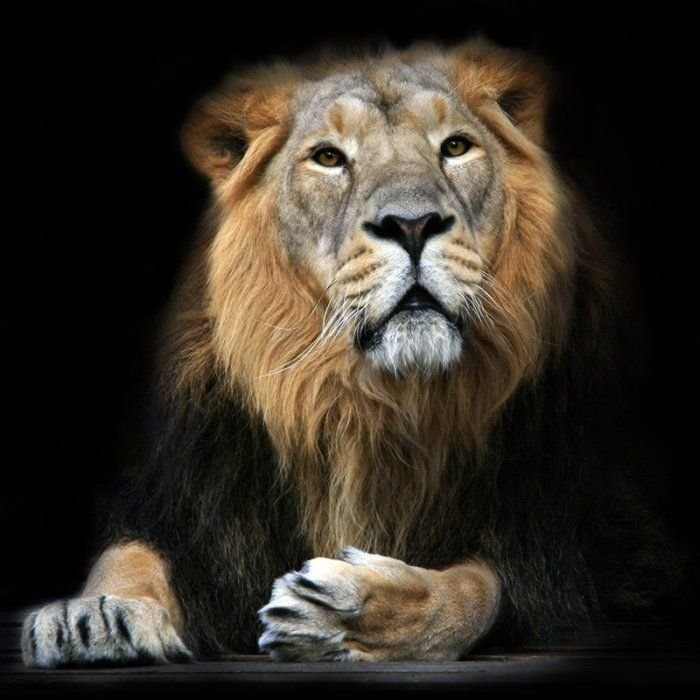 Дмитрий Бондарь фотография #31