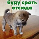 Фотография Лукина Германа