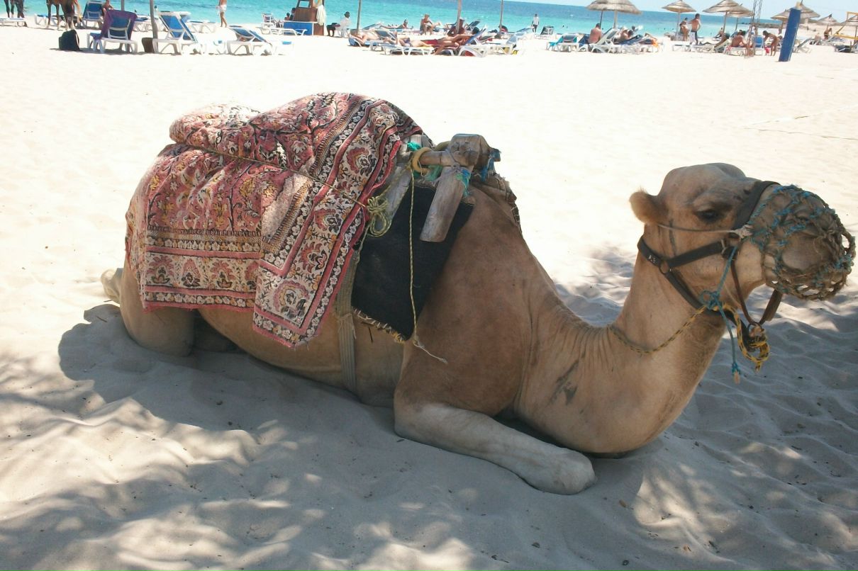 Дмитрий Ковалёв фотография #31