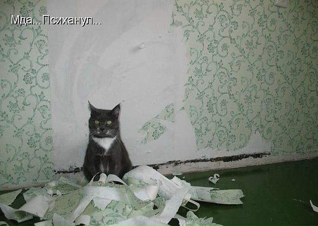 Ksusha Shevchenko фото №44