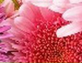 Кира Ηиколаева фотография #14 (источник - https://vk.com/id81748551)