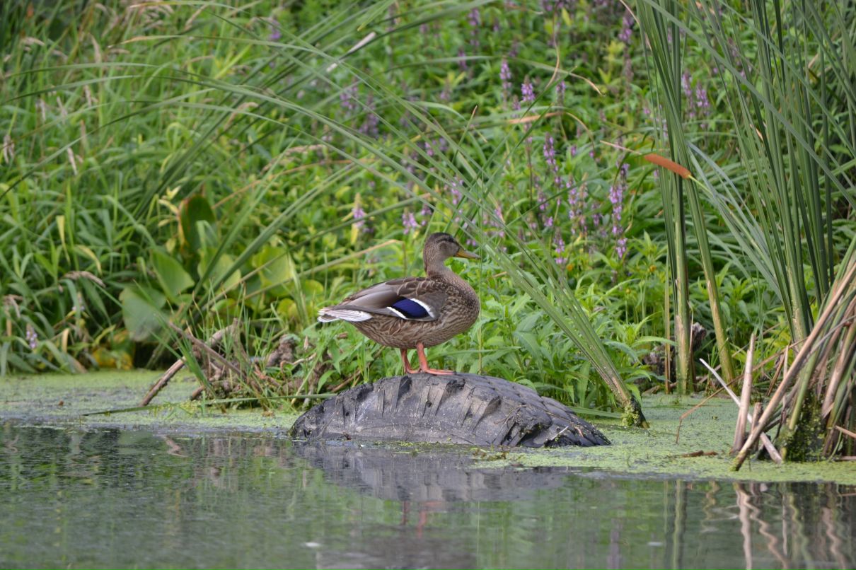 Константин Басалаев фотография #33