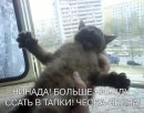Олексій Коваль фотография #4 (источник - https://vk.com/id35053524)