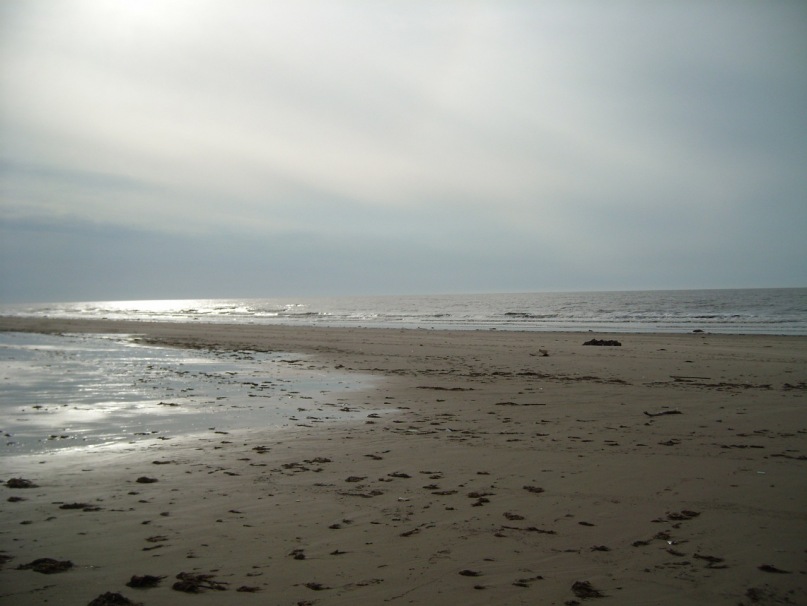 Дмитрий Соснин фотография #32