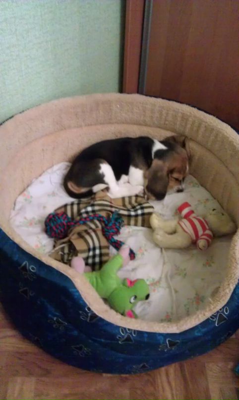 Антон Березин фотография #8