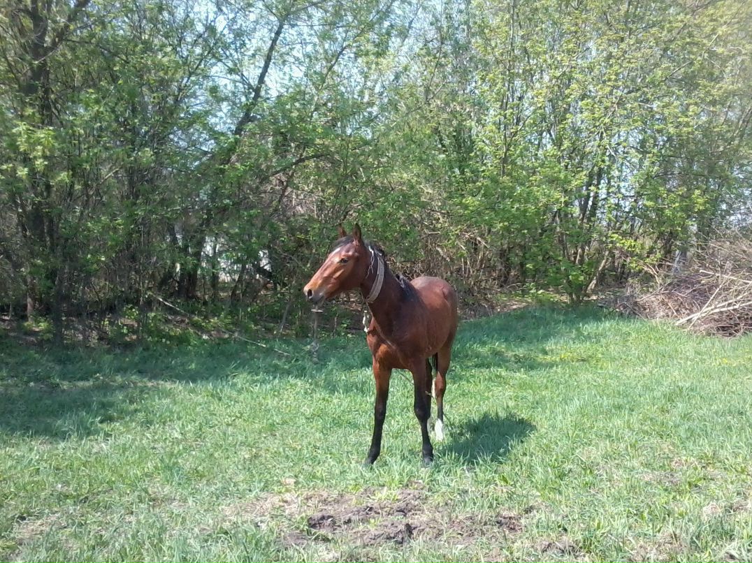 Vasyl Tarasenko фотография #34