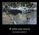 Міша Обраян фотография #45 (источник - https://vk.com/id64602304)