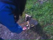 Фотография Кресс Натальи