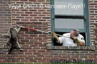 Иришка Венцова фотография #10 (источник - https://vk.com/id4664078)