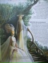Scatur Cervina фотография #21 (источник - https://vk.com/id113406680)