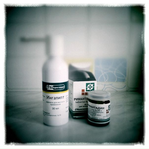 Dimm Dimm фото №13