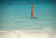 Фотография Монт Евы