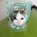 Фотография Ковалевой Любови