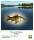 Андрій Бабінчук фотография #6 (источник - https://vk.com/id63258728)
