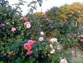 Фотография Аблясовой Зои