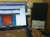 Фотография Багузовой Марины