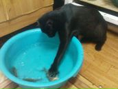 Фотография Багузовой Марины