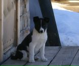 Фотография Дайан-Павловой Туяры