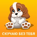 Міша Коваль фотография #1