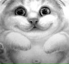 Фотография Борисова Вадима