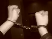 Фотография Elvis Viva