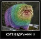 Фотография Мурашовы Лизы