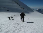 Анна Кобелева фотография #29 (источник - https://vk.com/id1576471)