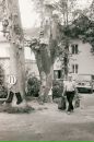 Юрий Упрямов фотография #8 (источник - https://vk.com/id24088)