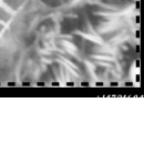 Юля Пічкар фотография #10 (источник - https://vk.com/id143598490)