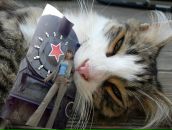 Фотография Бадмаевой Марины