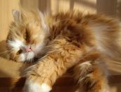 Фотография Остапцов Дмитрий