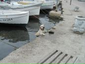 Владислав Вітомськов фотография #2 (источник - https://vk.com/id4575054)