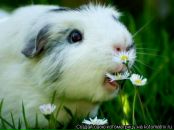 Фотография Демидюка Алексея