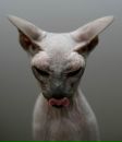 Фотография Богамановой Нурии